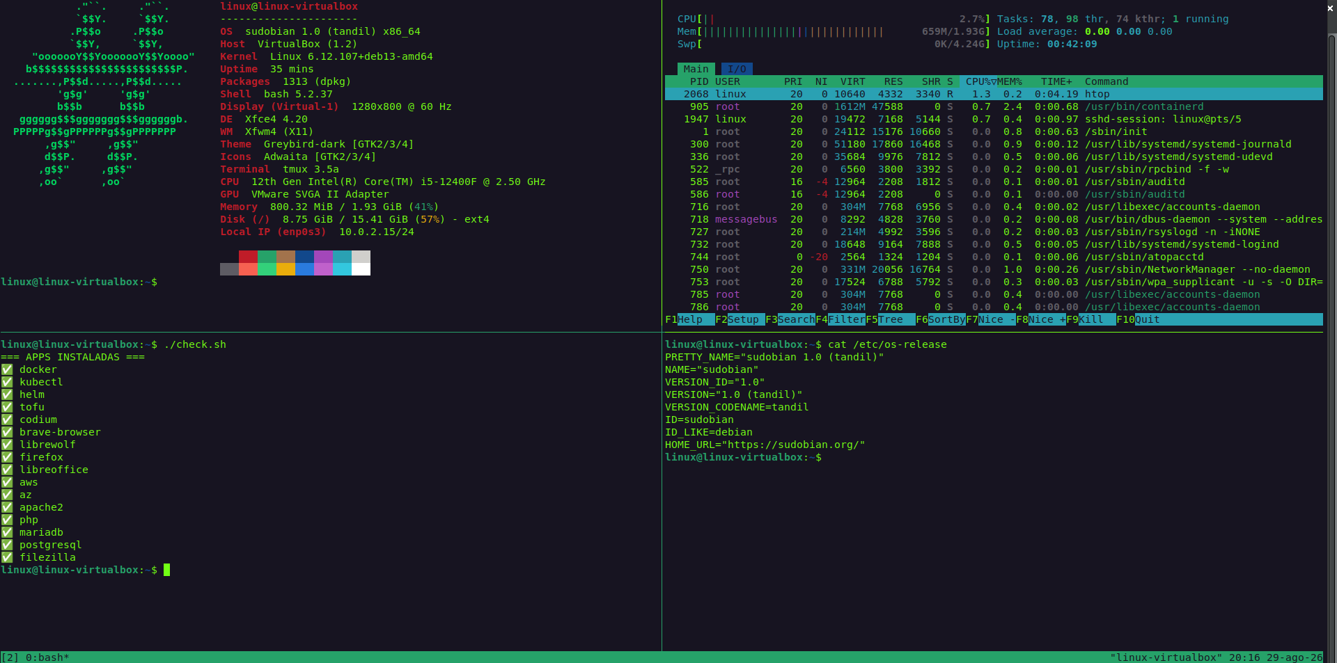Vista de tmux con htop y aplicaciones instaladas